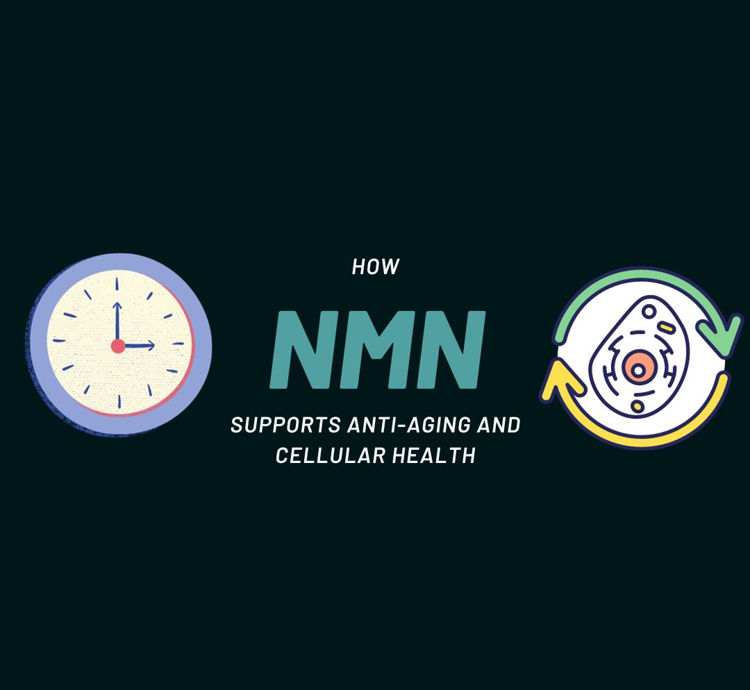 Unlocking the Secrets of Longevity: How NMN Supports Anti-Aging and Cellular Health